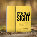 World Reading Club Launches 1st “Book Focus (August 23rd – October 24th, 2022) On “Joy In Plain Sight” by Katya Davydova, Available In Print And OnLine From Barnes & Noble