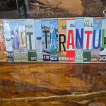 A Bittersweet Update on Tangle & Gaze: Egg Sacs, Local Rescues, and Expertise at Fear Not Tarantulas